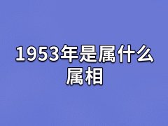 1953年是属什么属相:属相蛇