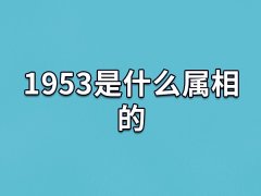 1953是什么属相的:生肖蛇