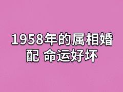 1958年的属相婚配命运好坏