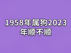 1958年属狗2023年顺不顺:非