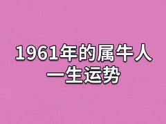 1961年的属牛人一生运势