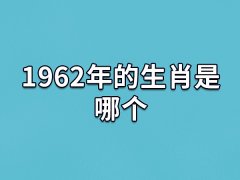 1962年的生肖是哪个:生肖虎