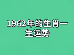 1962年的生肖一生运势:一生