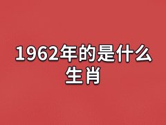 1962年的是什么生肖:属相虎(五行属水)