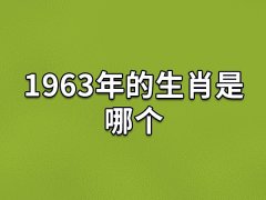 1963年的生肖是哪个:生肖兔(农历癸卯年)