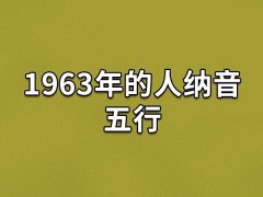 1963年的人纳音五行,63年出生人的五行