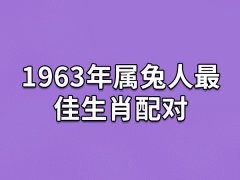 1963年属兔人最佳生肖配对:属相狗/属相羊/属相猪