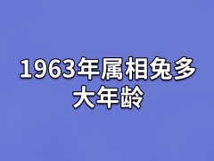 1963年属相兔多大年龄,63年属兔人2023年多大了