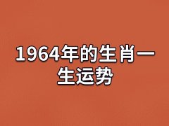 1964年的生肖一生运势:事业