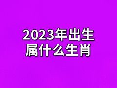 2023年出生属什么生肖:生肖兔（一生碰壁）