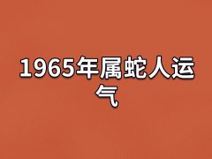 1965年属蛇人运气,65年属蛇