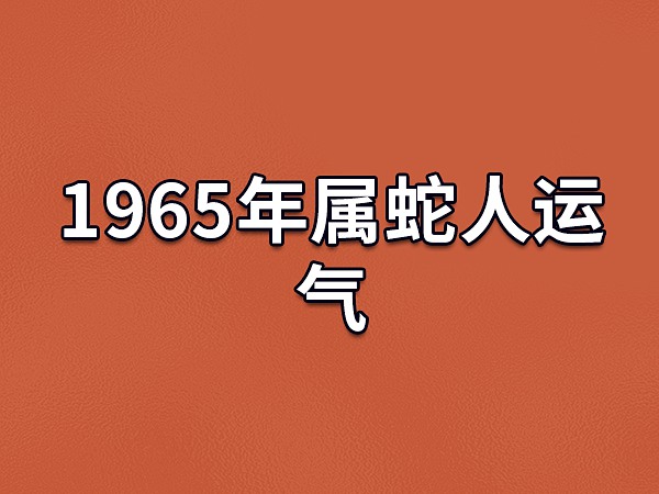 1965年属蛇人运气