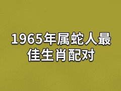 1965年属蛇人最佳生肖配对