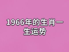 1966年的生肖一生运势:运势