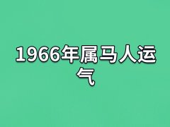 1966年属马人运气,66年属马