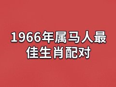 1966年属马人最佳生肖配对