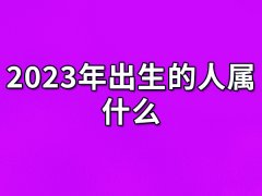 2023年出生的人属什么：生肖兔(事业有成)