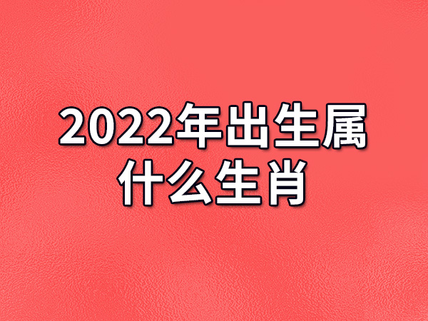 2022年出生属什么图片