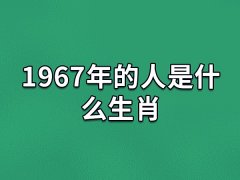 1967年的人是什么生肖:生肖