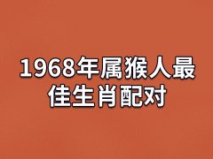 1968年属猴人最佳生肖配对:生肖龙/生肖兔/生肖鼠