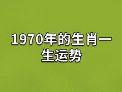 1970年的生肖一生运势:运势