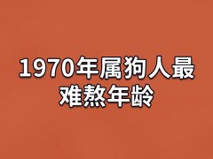 1970年属狗人最难熬年龄