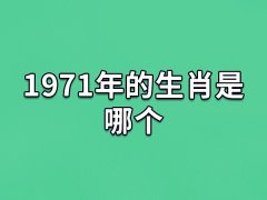 1971年的生肖是哪个:属相为