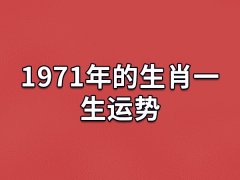 1971年的生肖一生运势:运势