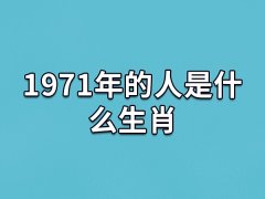 1971年的人是什么生肖:生肖