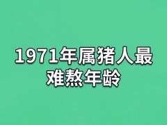 1971年属猪人最难熬年龄