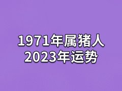 1971年属猪人2023年运势:运