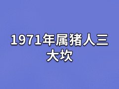 1971年属猪人三大坎:情感不