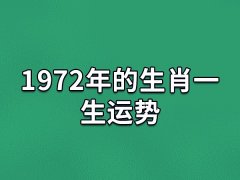 1972年的生肖一生运势:运势平稳(感情易受挫)