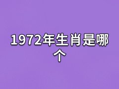 1972年生肖是哪个:生肖属