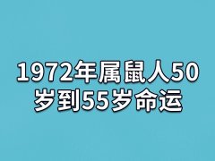 1972年属鼠人50岁到55岁命运