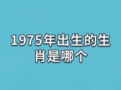 1975年出生的生肖是哪个:生肖兔(农历乙卯年)