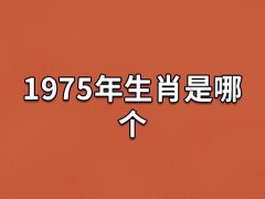 1975年生肖是哪个:属相兔(平易近人)