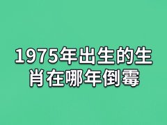 1975年出生的生肖在哪年倒霉:鼠年/鸡年/龙年