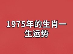 1975年的生肖一生运势:财运平平(事业顺利)