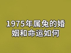 1975年属兔的婚姻和命运如何:木兔之命(婚姻幸福)