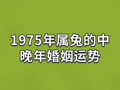 1975年属兔的中晚年婚姻运势:有可能婚变(吵架次数变多)