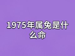 1975年属兔是什么命:木兔之命(五行属木)