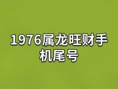 1976属龙旺财手机尾号:数字