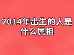 2014年出生的人是什么属相