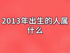 2013年出生的人属什么:生肖