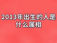 2013年出生的人是什么属相