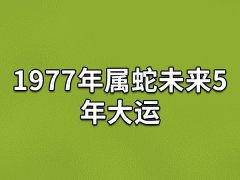 1977年属蛇未来5年大运:事