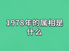 1978年的属相是什么:属相马