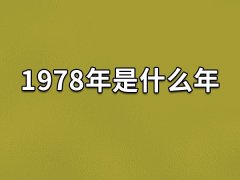 1978年是什么年:农历戊午年