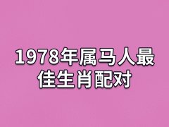 1978年属马人最佳生肖配对